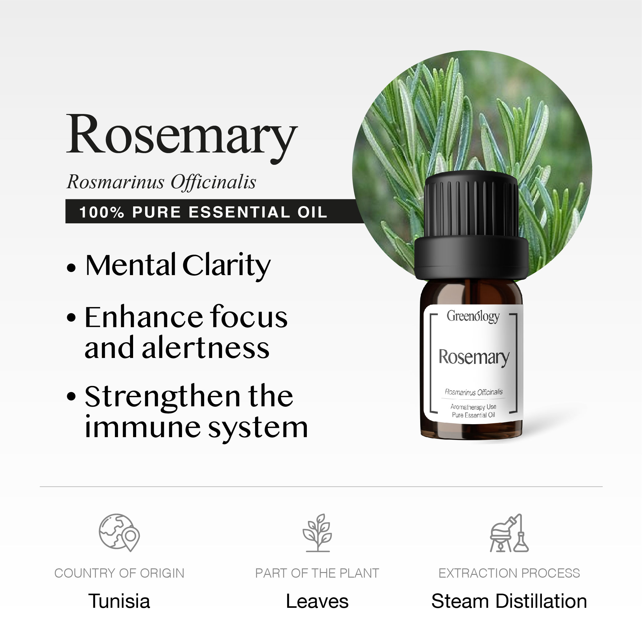 251007 PD - EO Rosemary_Artboard 2