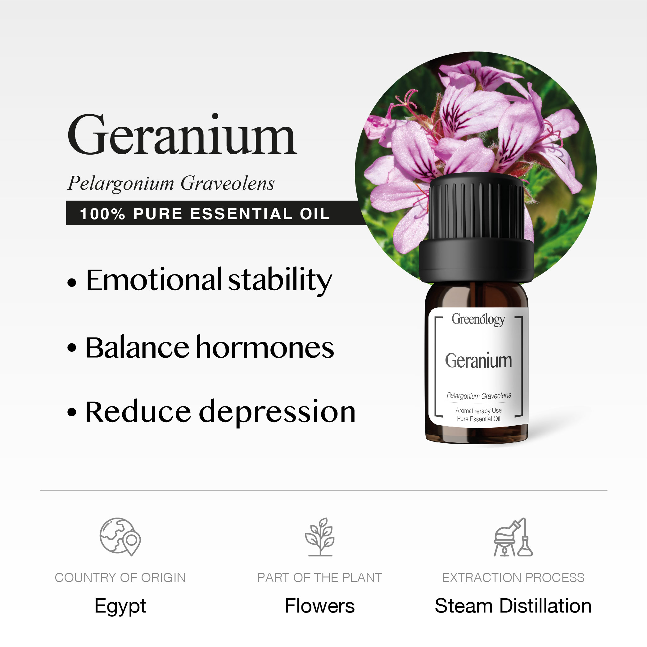 251007 PD - EO Geranium_Artboard 2