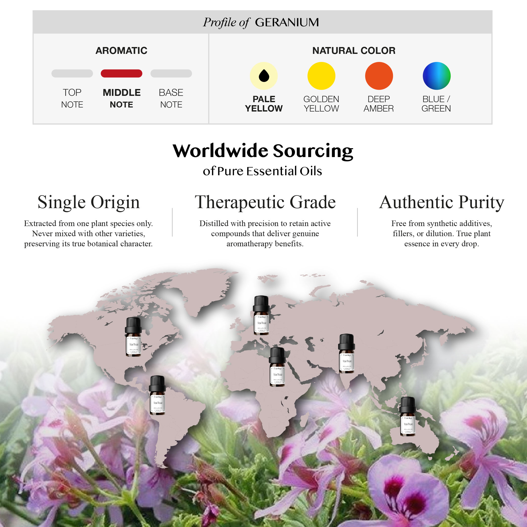 251007 PD - EO Geranium_Artboard 3