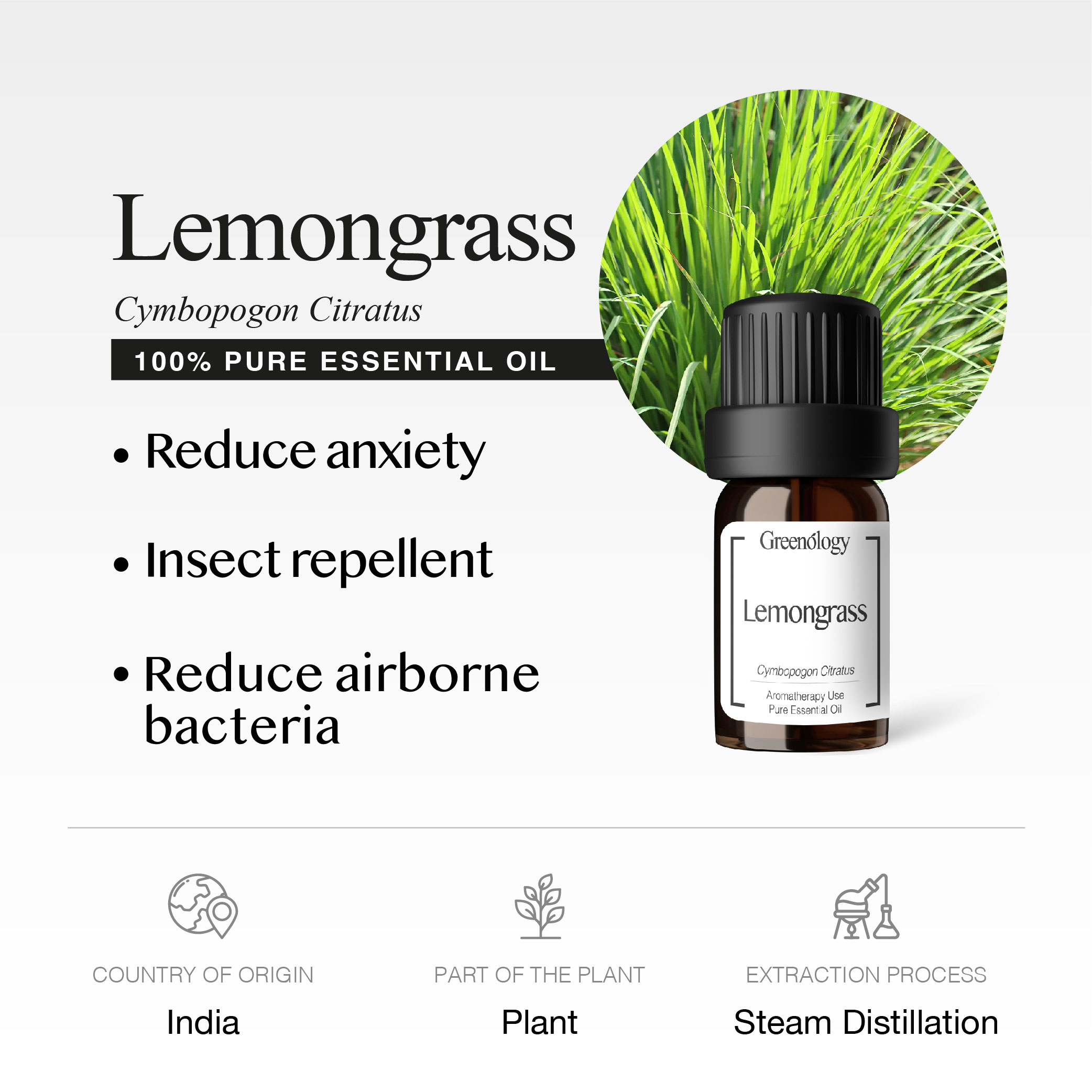 251007 PD - EO Lemongrass_Artboard 2