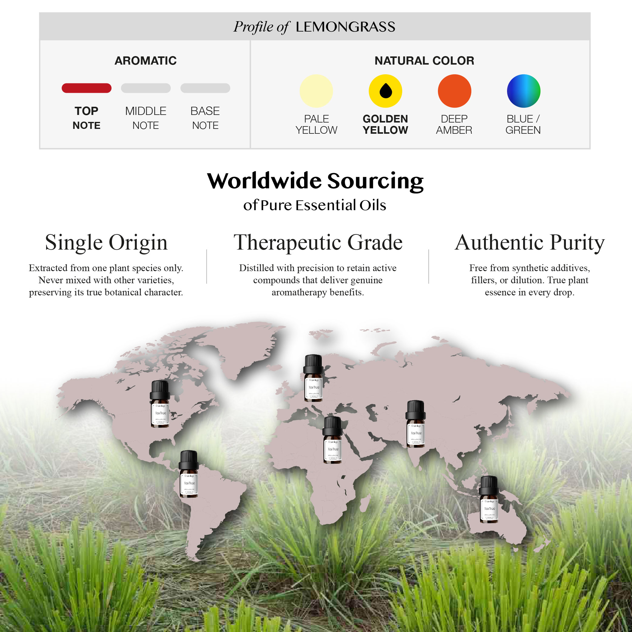 251007 PD - EO Lemongrass_Artboard 3