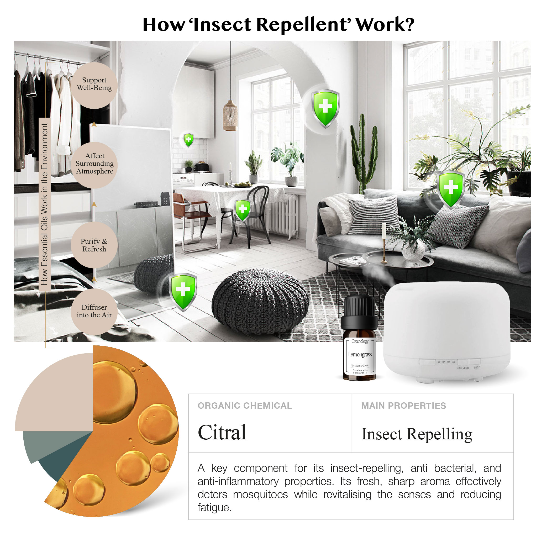 251007 PD - EO Lemongrass_Artboard 4