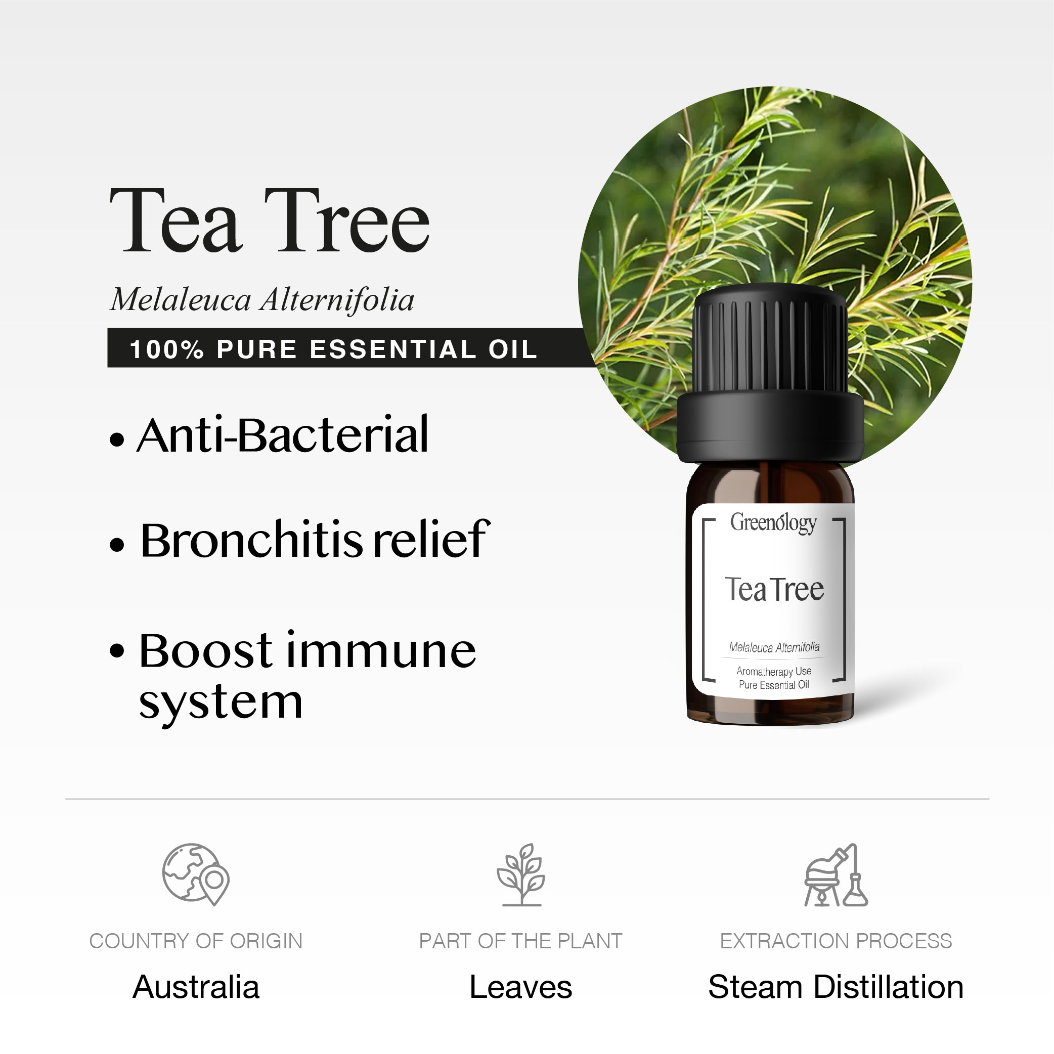 251007 PD - EO Tea Tree_Artboard 2