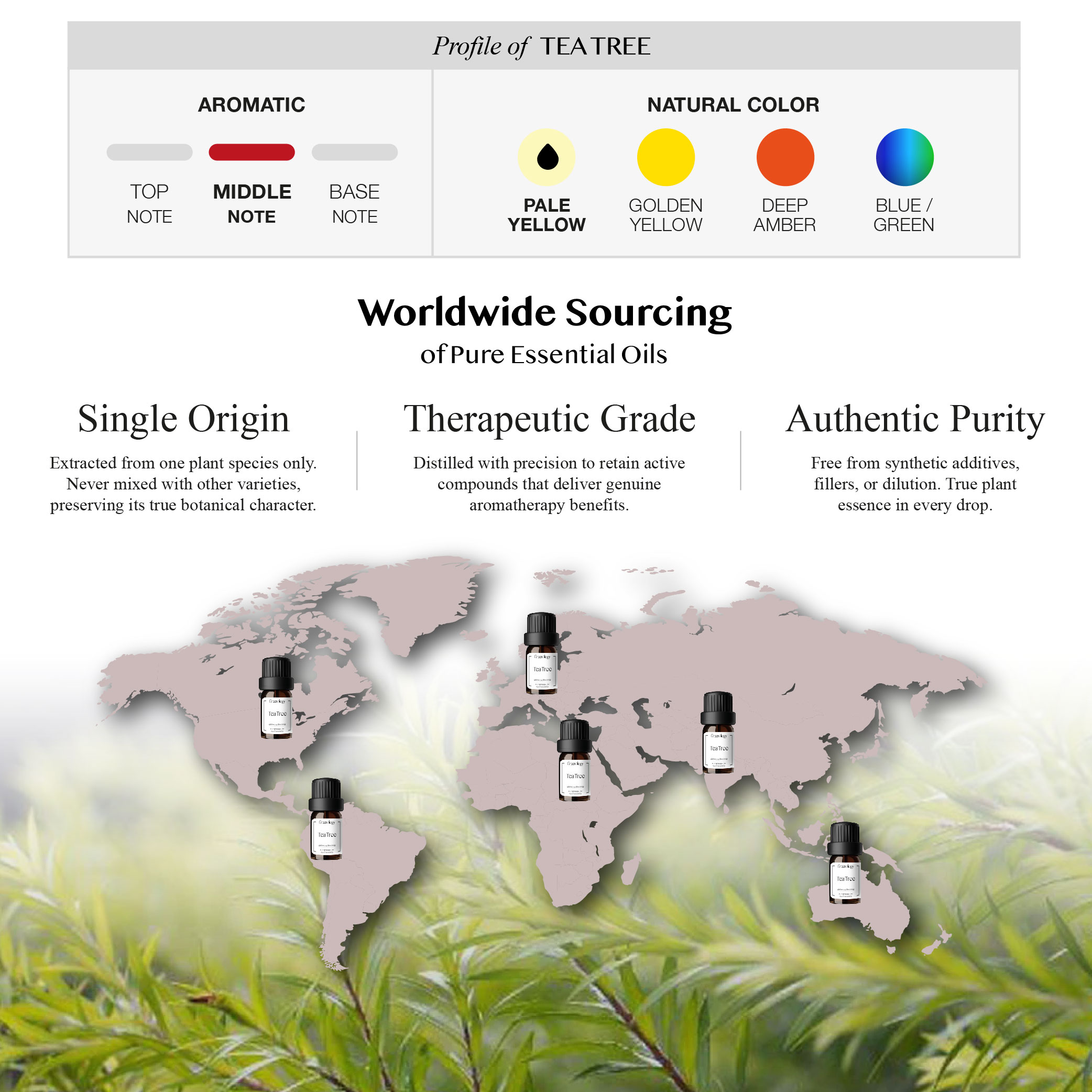 251007 PD - EO Tea Tree_Artboard 3