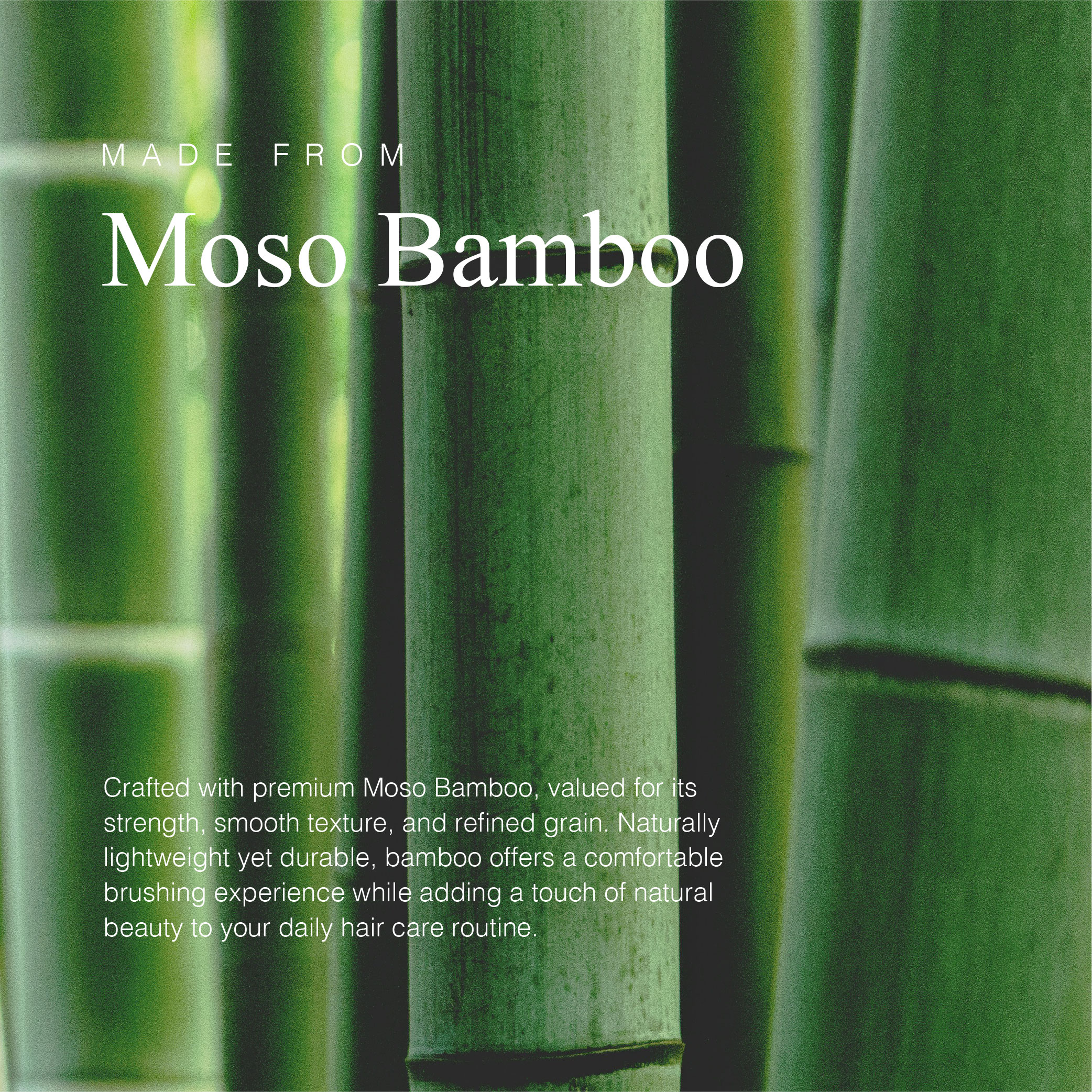 251107 PD - Natural Paddle Brush_Artboard 2