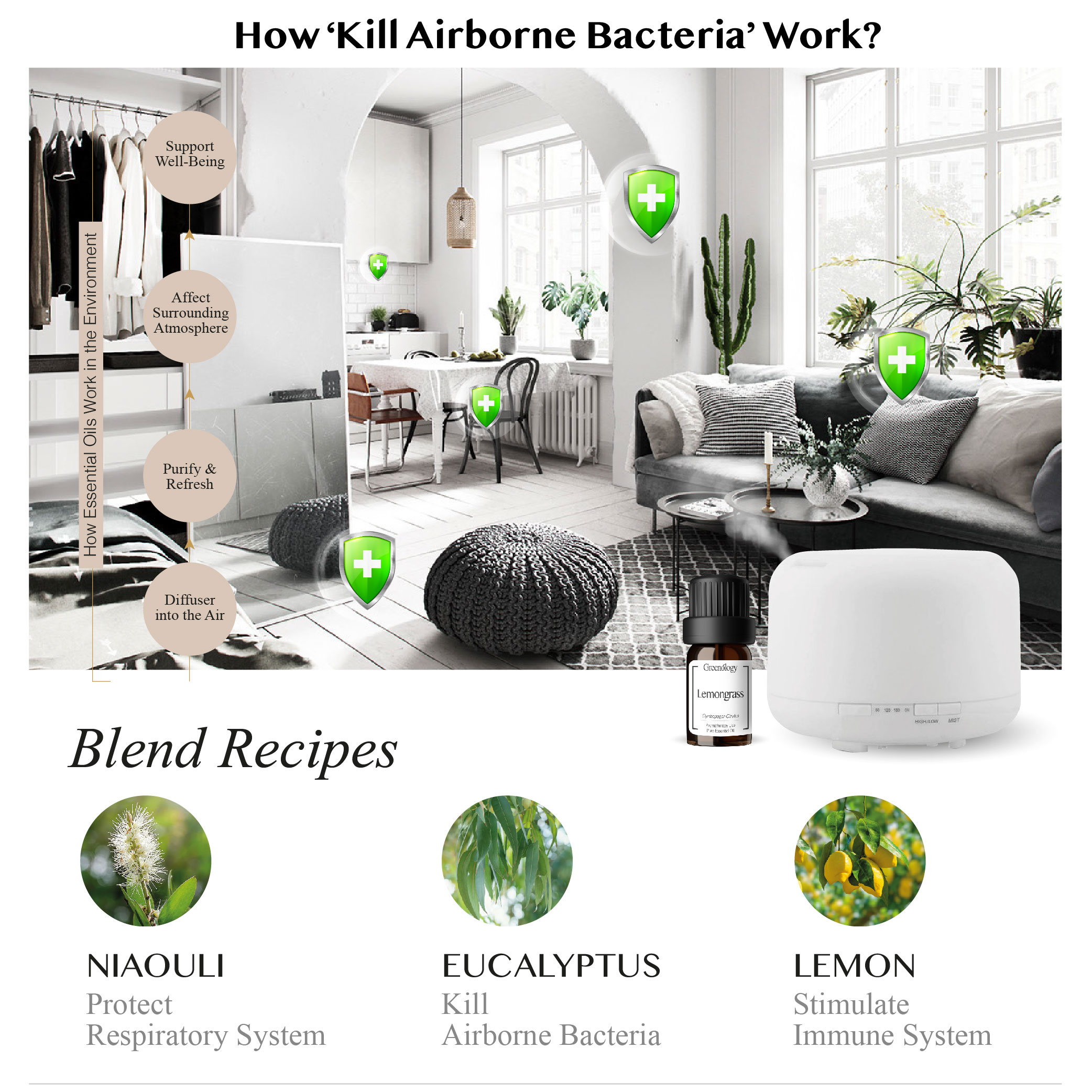 Greenology Aromatherapy Air Purify Blend Essential Oil Greenology Aromatherapy Air Purify Blend Essential Oil