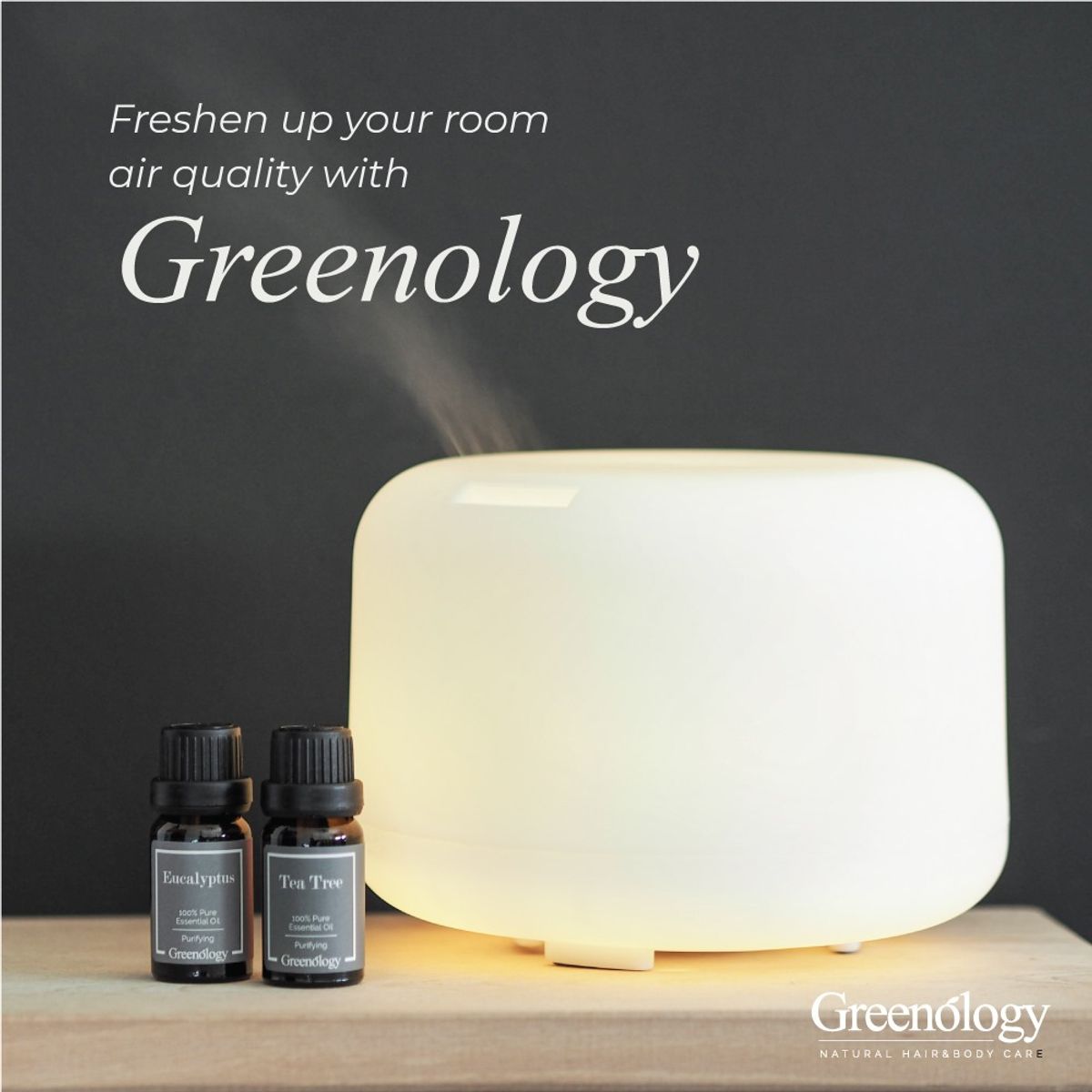 Freshen up your room air quality with Greenology