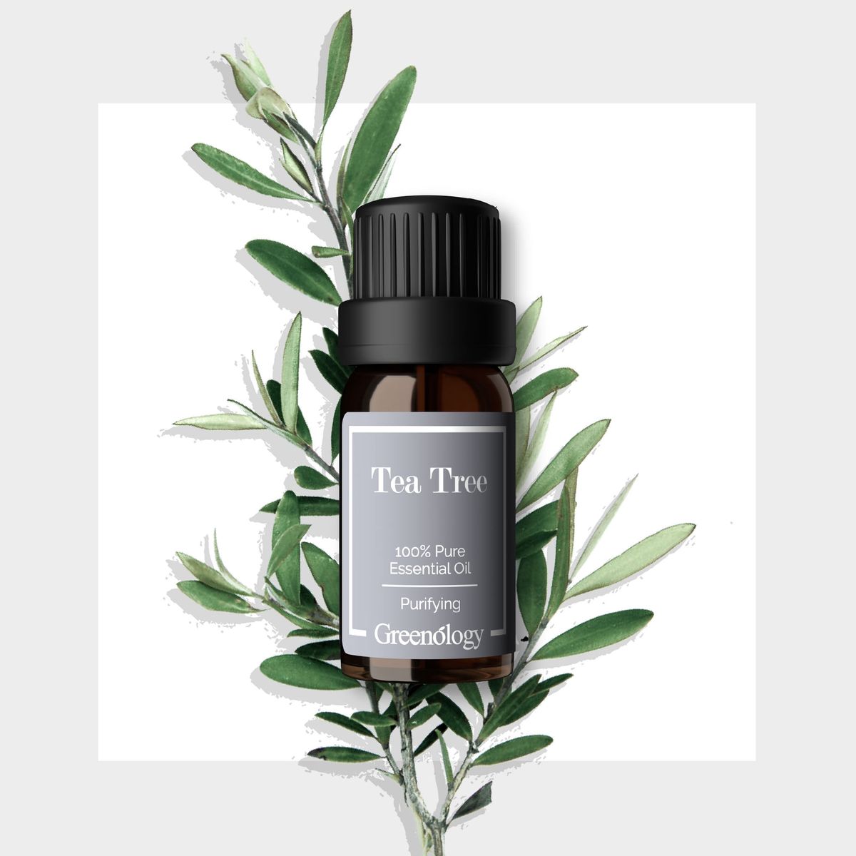 Tea Tree Essential Oil