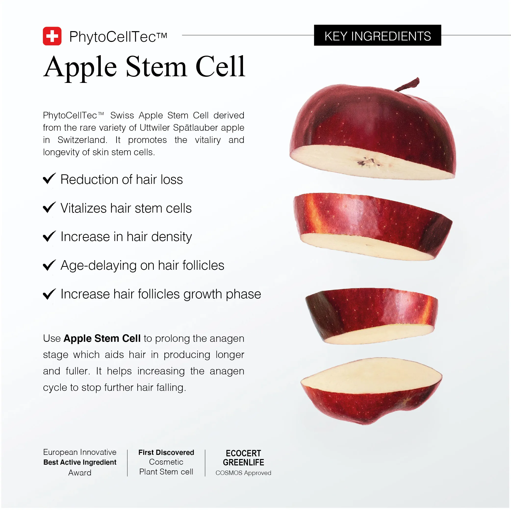 Greenology Apple Stem Cell Scalp Booster