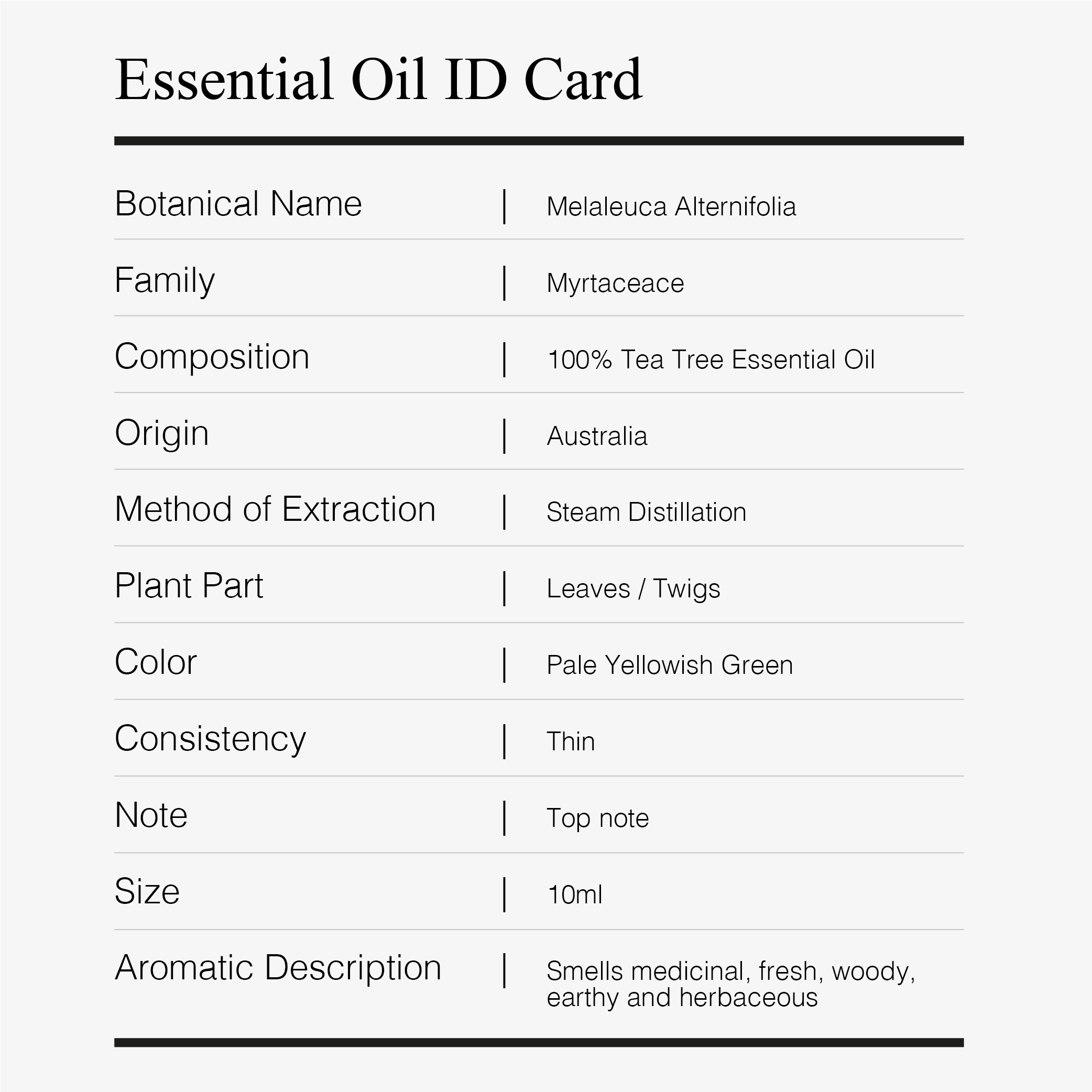 Greenology Aromatherapy Tea Tree Essential Oil 