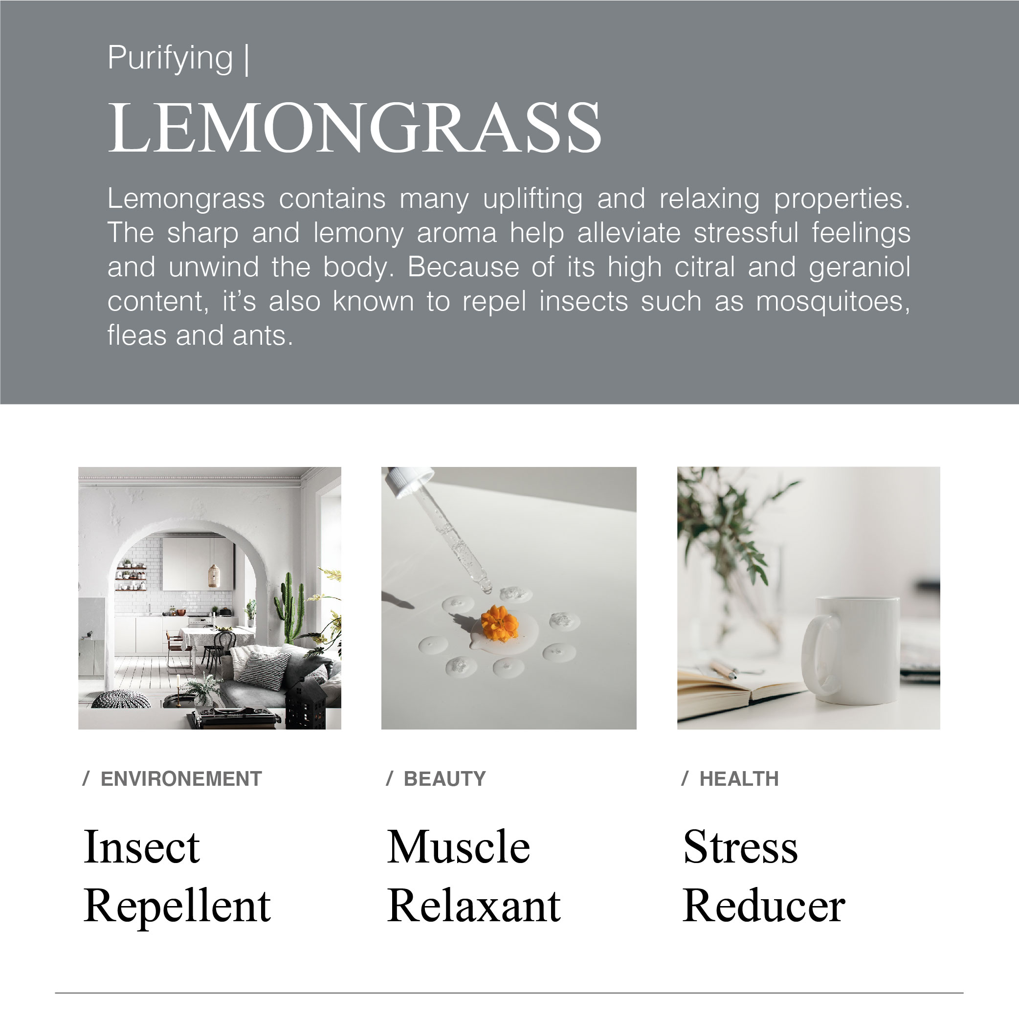 Greenology Essential Oil Lemongrass