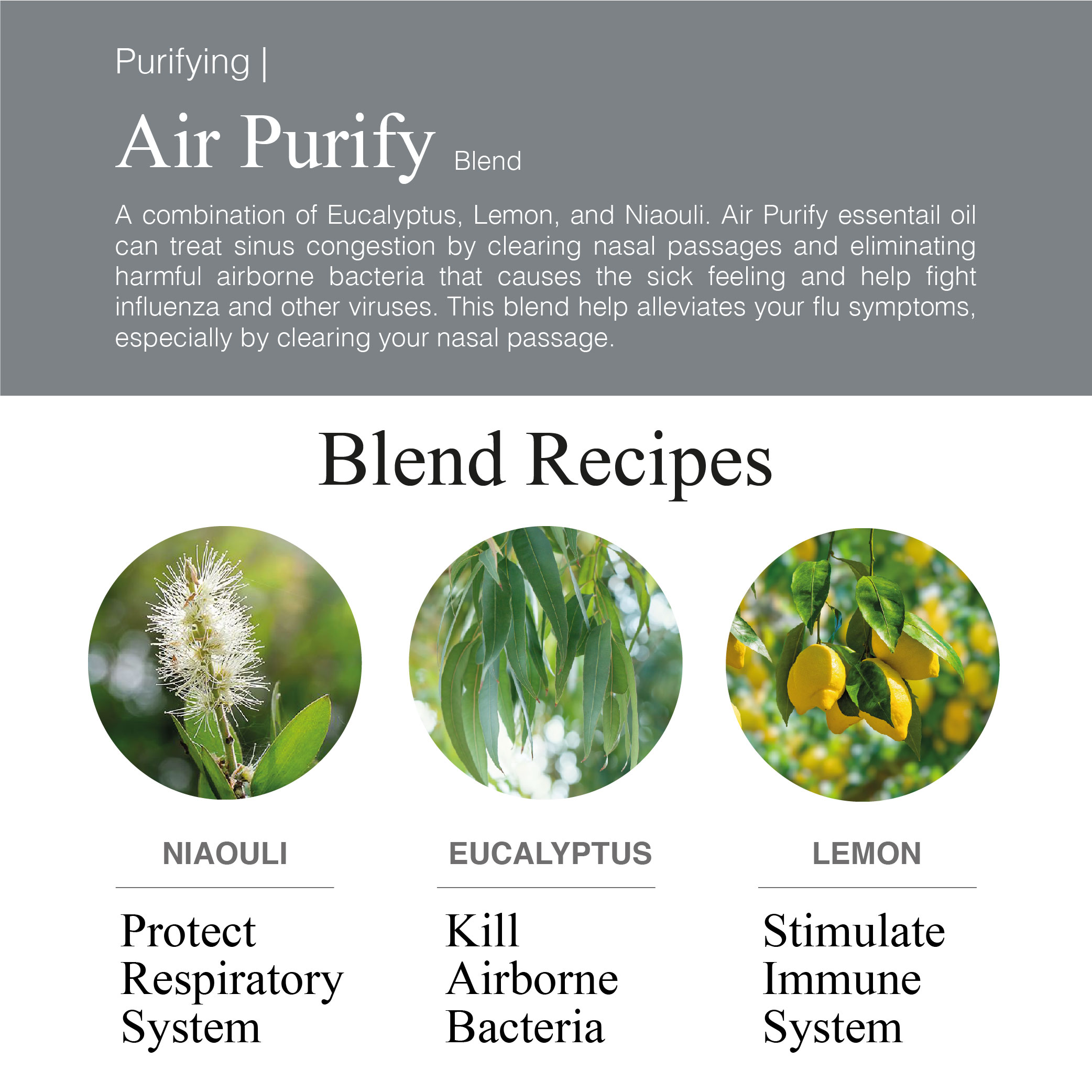 Greenology Aromatherapy Air Purify Blend Essential Oil 