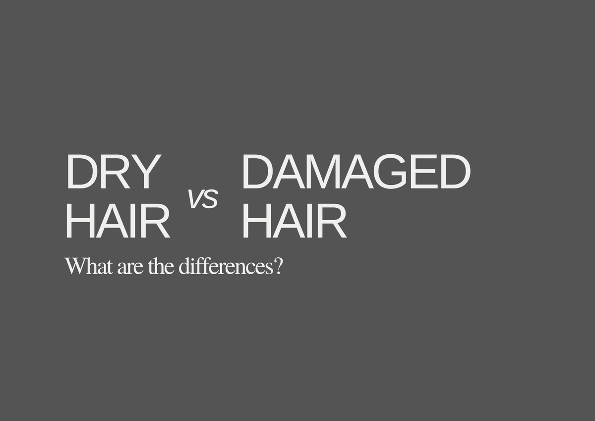 How to tell the difference between Dry & Damaged Hair?