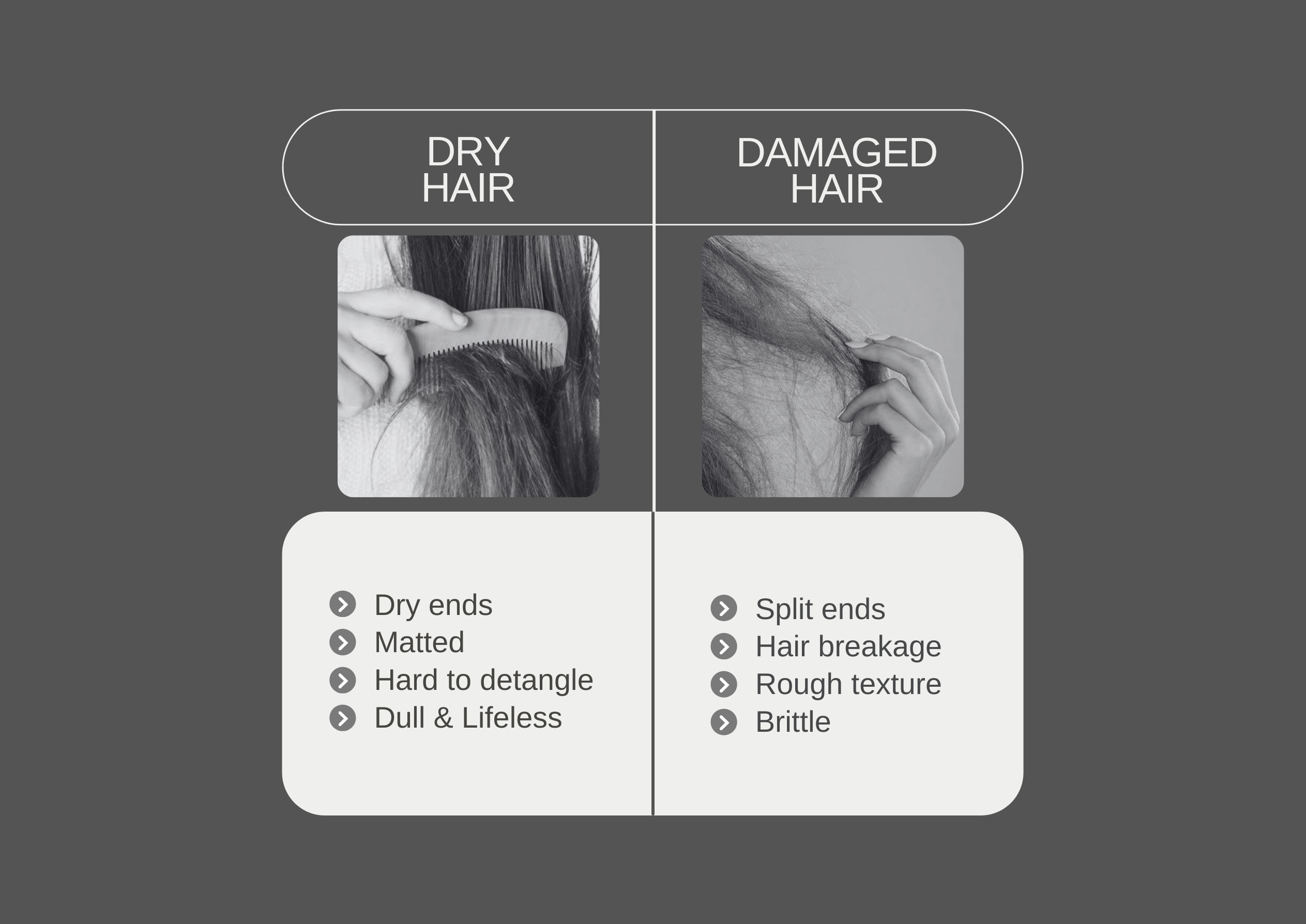 How To Tell if You Have Dry vs Damaged Hair