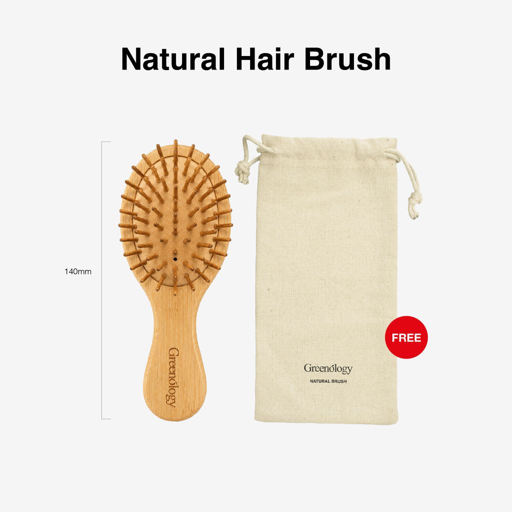 251105 PV_Natural Paddle Brush-07