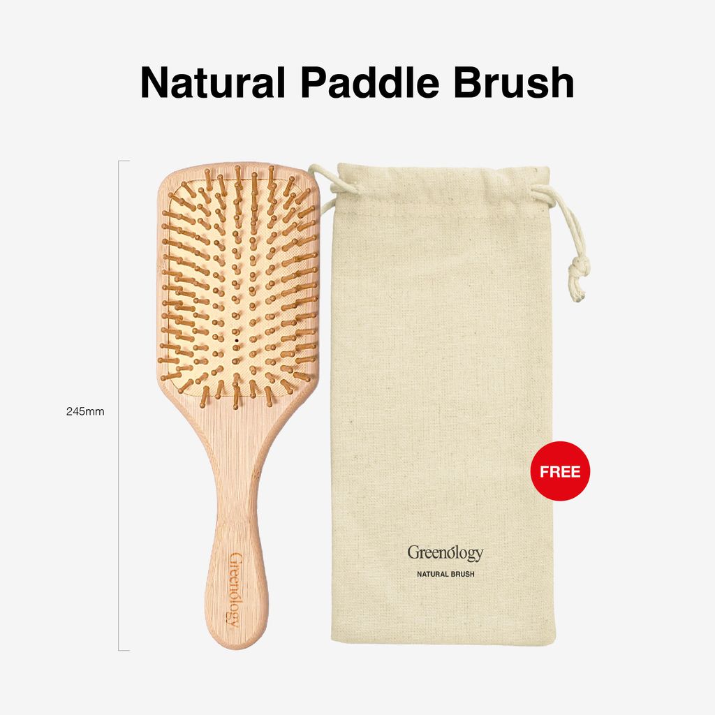 251105 PV_Natural Paddle Brush-04