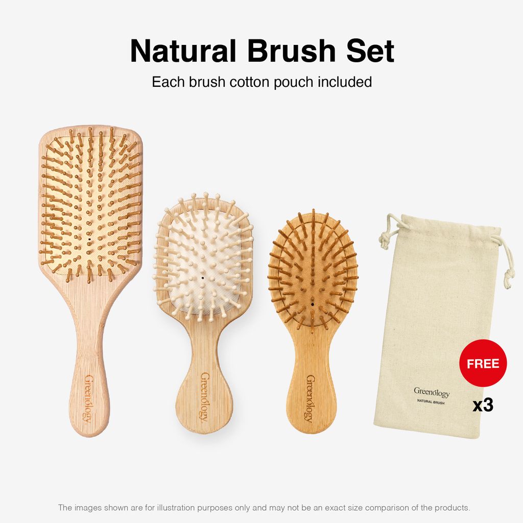 251105 PV_Natural Paddle Brush-05