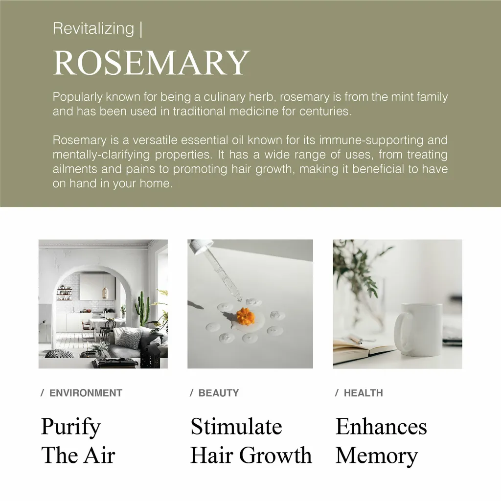 Greenology_EO Rosemary_Product Description-02.jpg