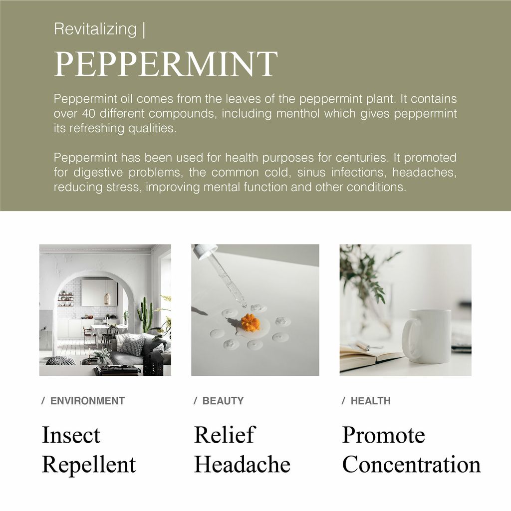 Greenology_EO Peppermint_Product Description-02.jpg