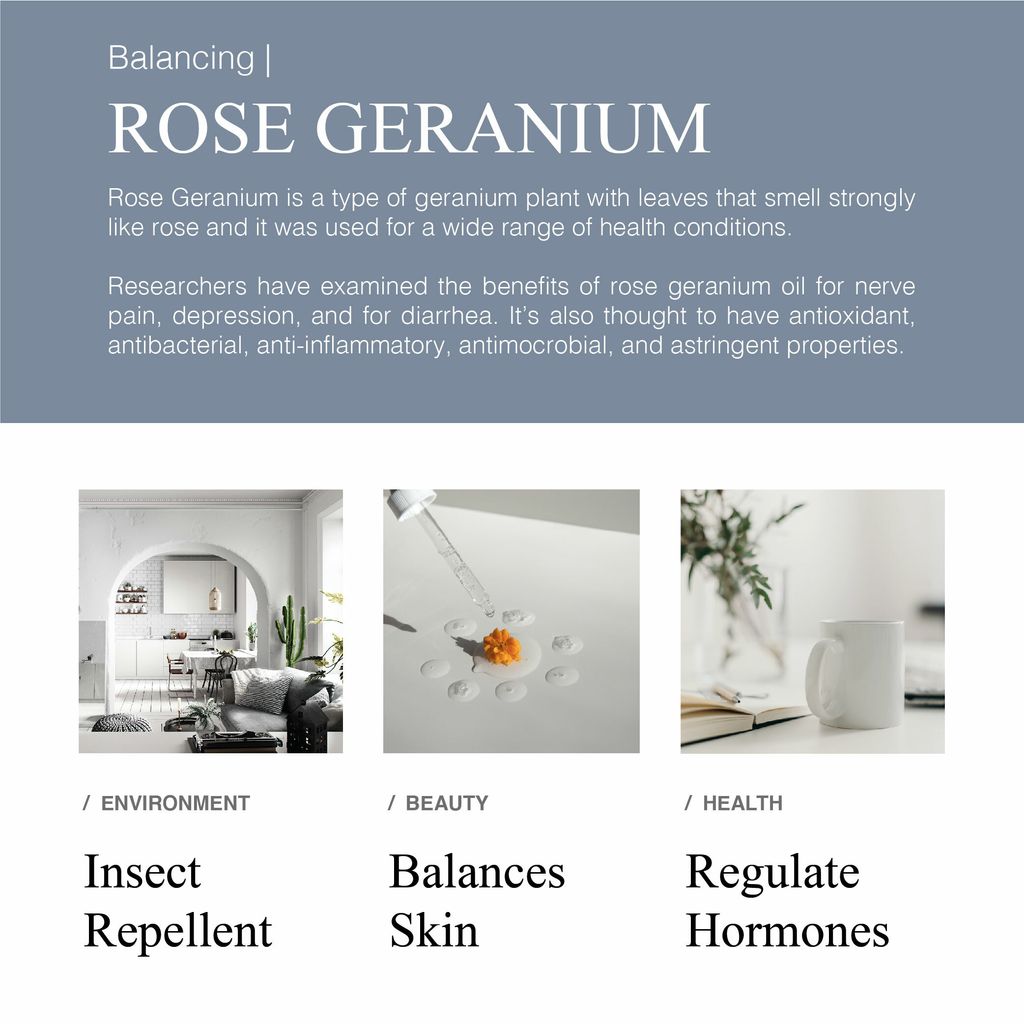 Greenology_EO Rose Geranium_Product Description-02.jpg