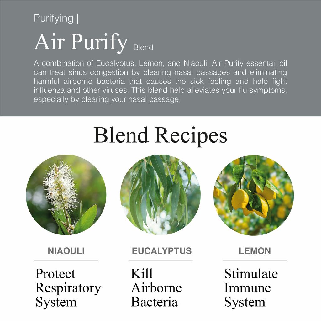 Greenology_EO Air Purify_Product Description-02.jpg