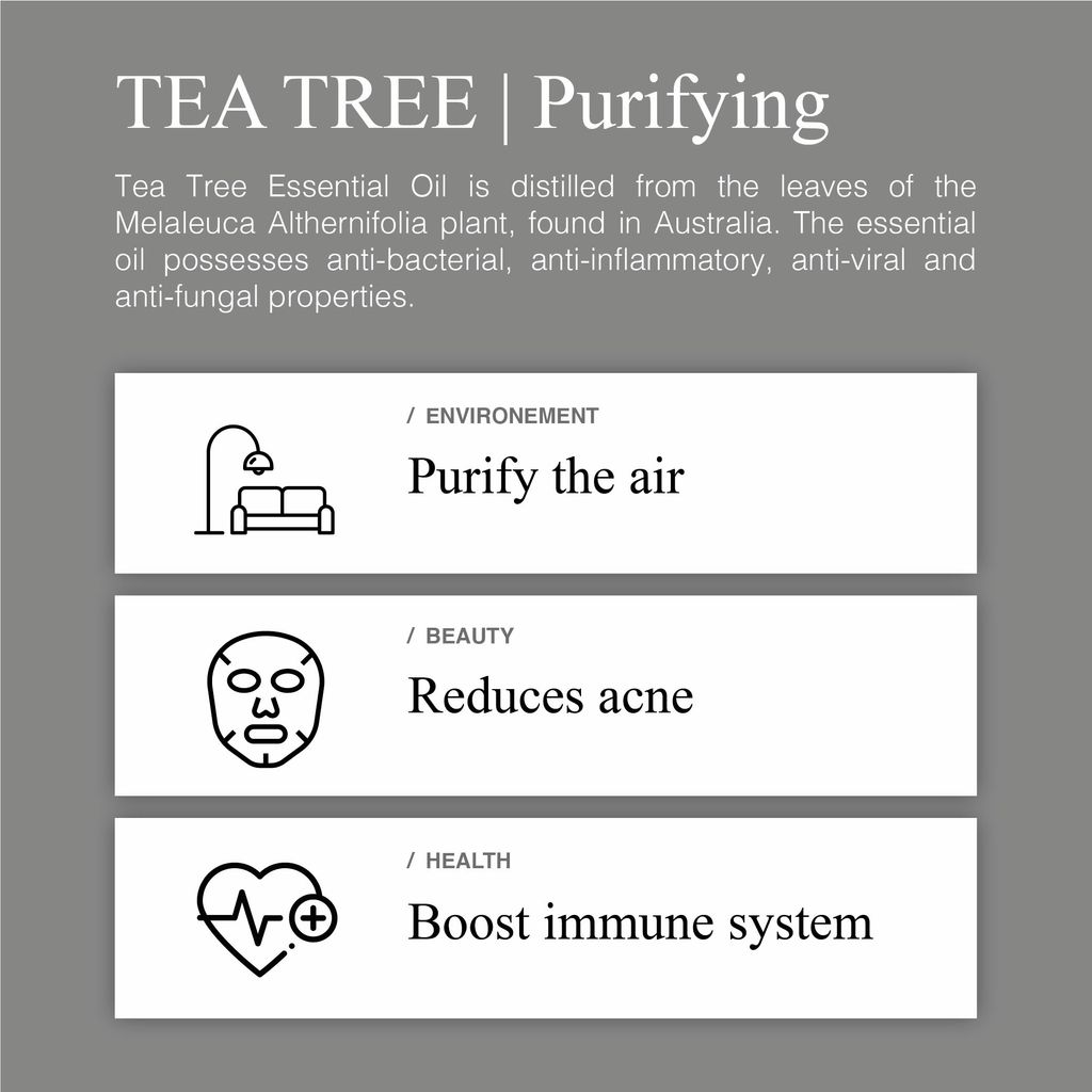 Greenology_EO Tea Tree_Product Description-03.jpg