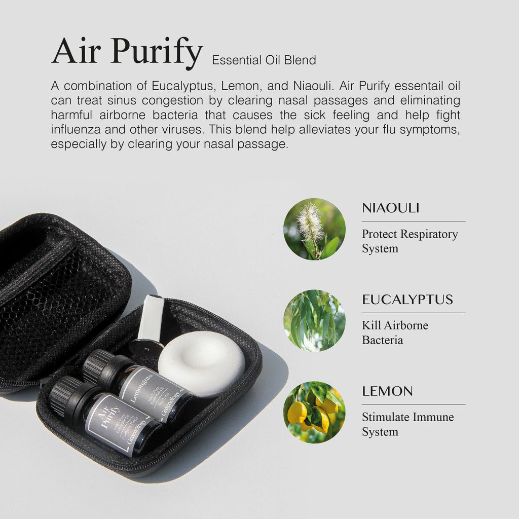 230627 Greenology_In-Car Purify Kit_Product Description-02