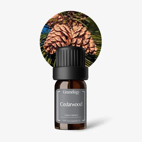 240711 Product Image_EO Cedarwood-Website