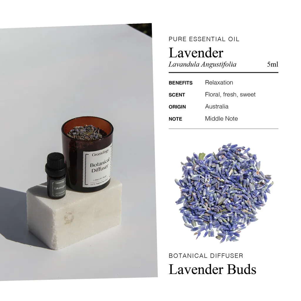 241112 PD Botanical Diffuser_Artboard 4