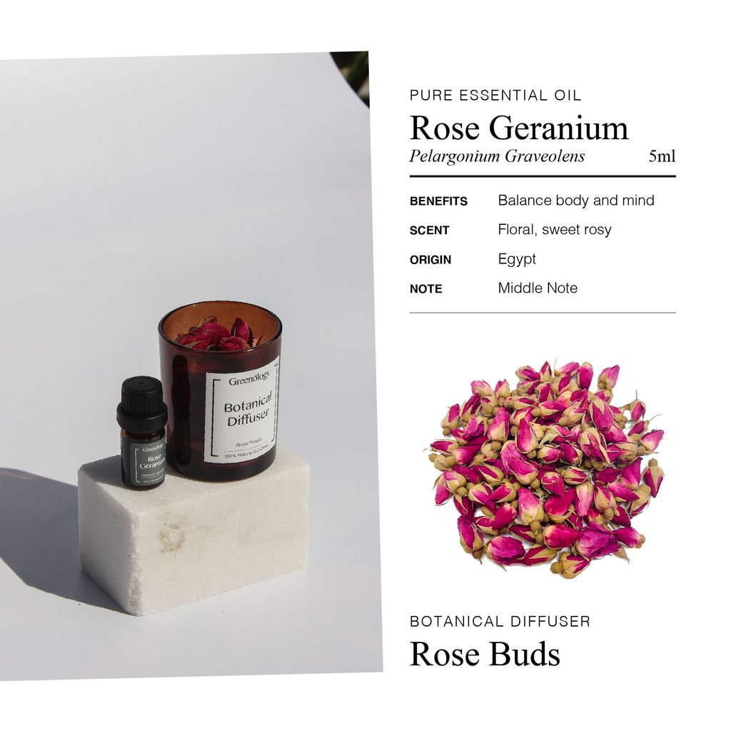 241112 PD Botanical Diffuser_Artboard 5