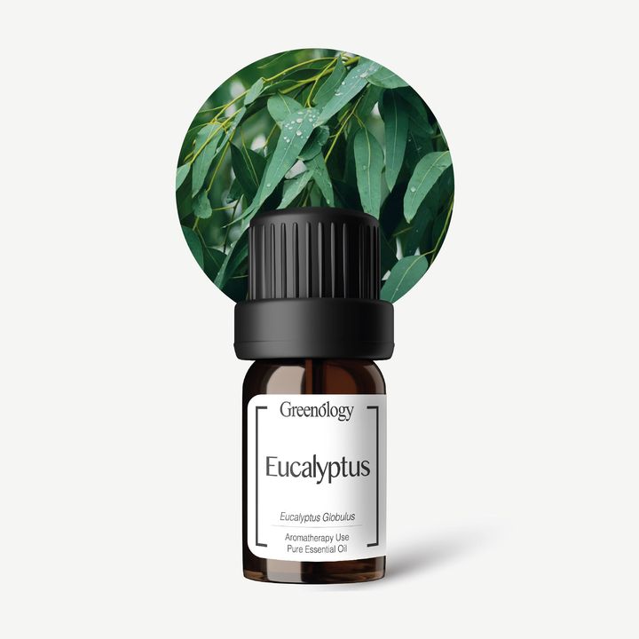 PI Website - EO Eucalyptus 5ml