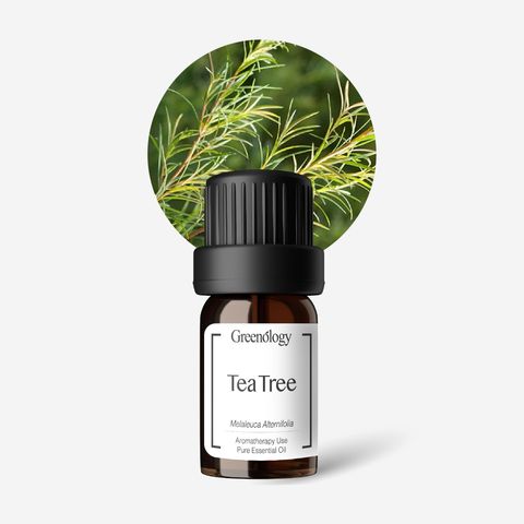 PI Website - EO Tea Tree 5ml-01