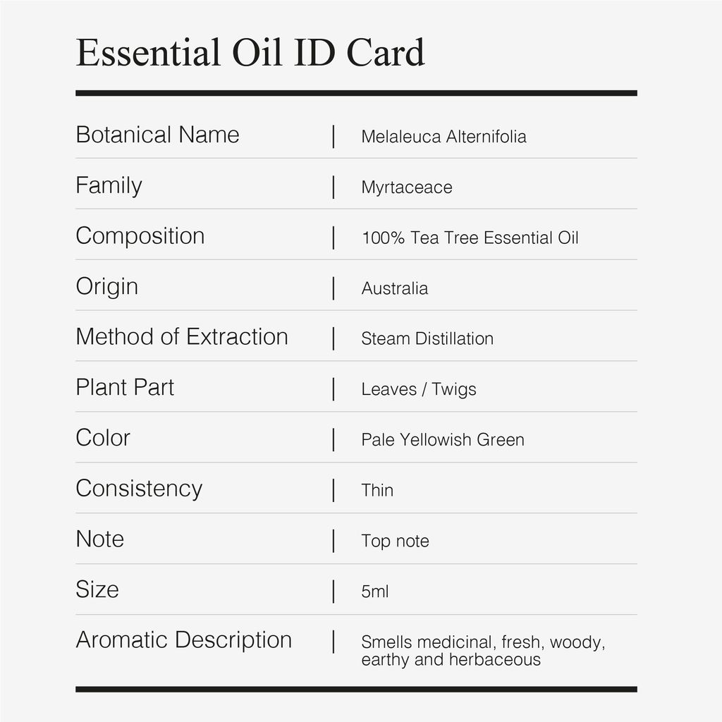 Greenology_EO Tea Tree_Product Description-02
