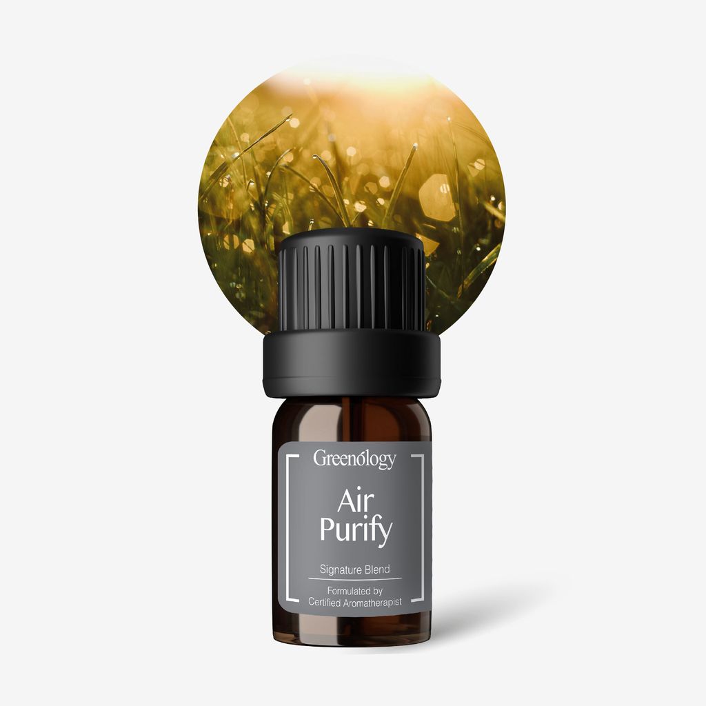 250818 PI_EOB Air Purify-01