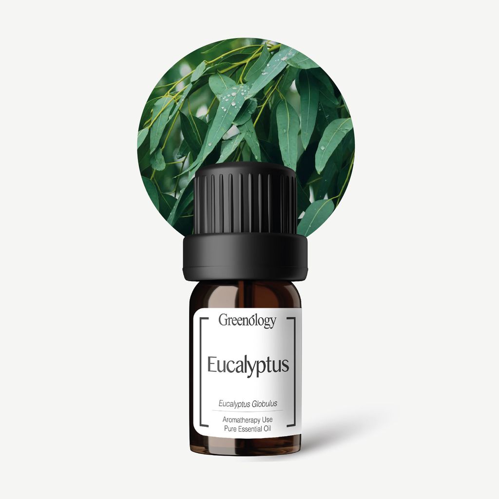 PI Website - EO Eucalyptus 5ml