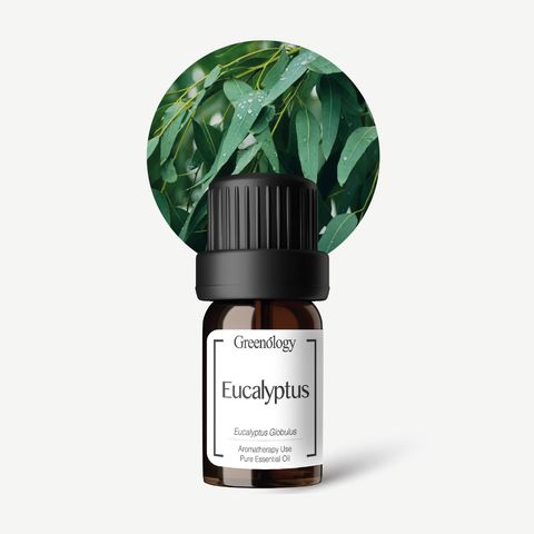 PI Website - EO Eucalyptus 5ml