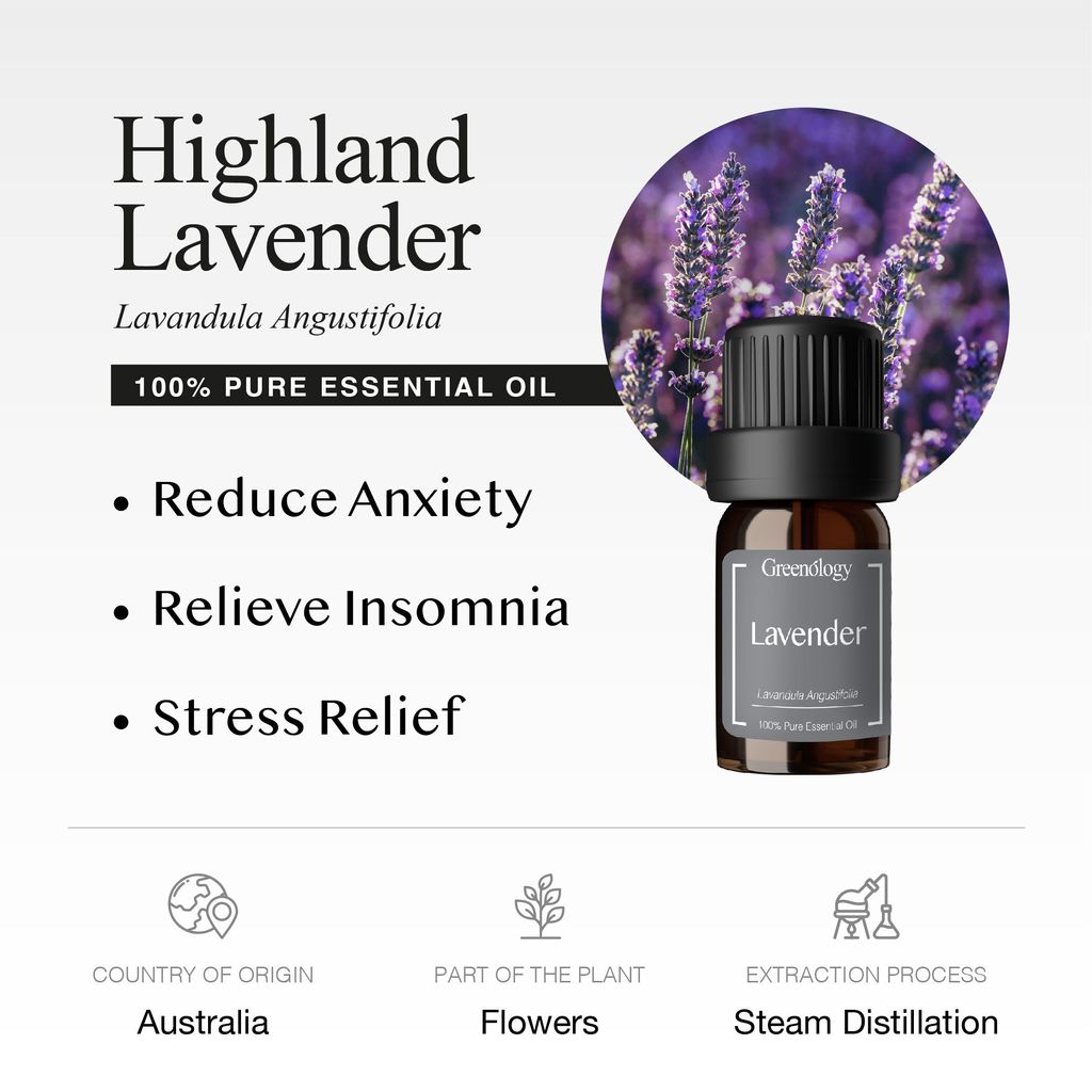 251007 PD - EO Lavender_Artboard 2
