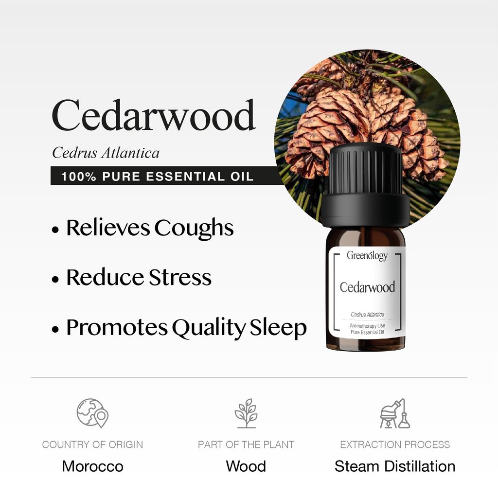 251007 PD - EO Cedrawood_Artboard 2