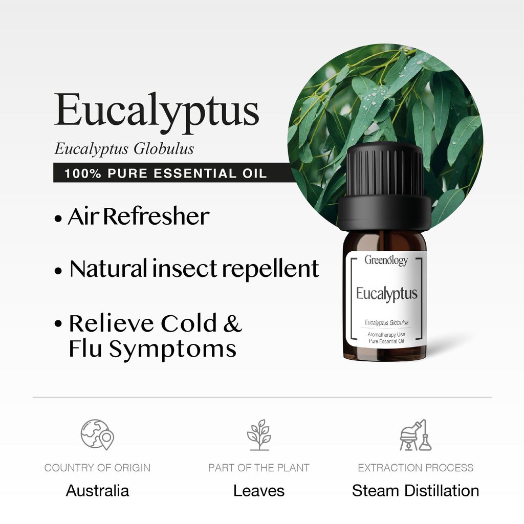 251007 PD - EO Eucalyptus_Artboard 2