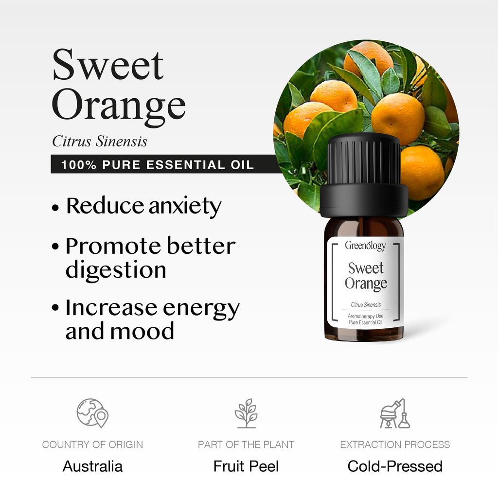 251007 PD - EO Sweet Orange_Artboard 2