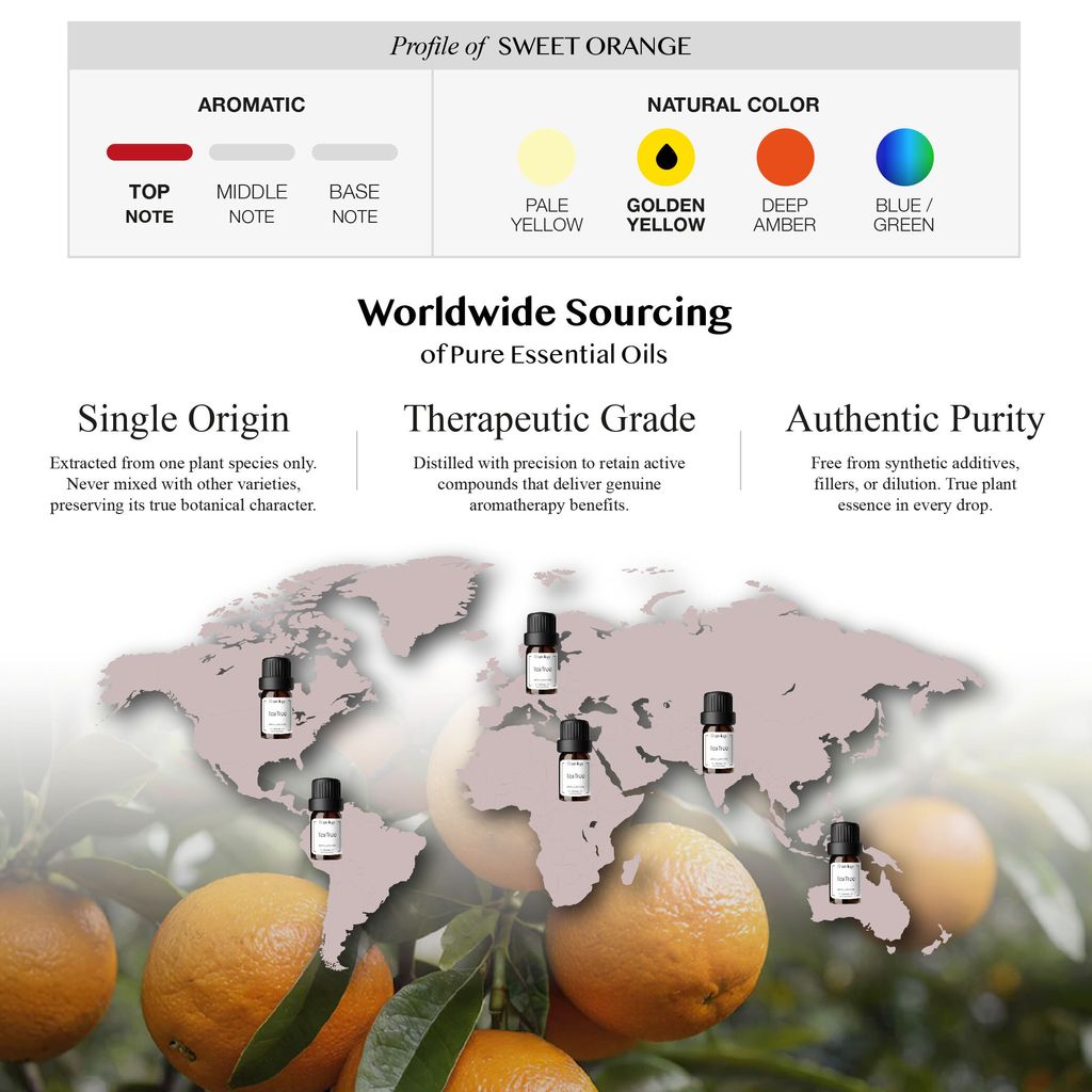 251007 PD - EO Sweet Orange_Artboard 3