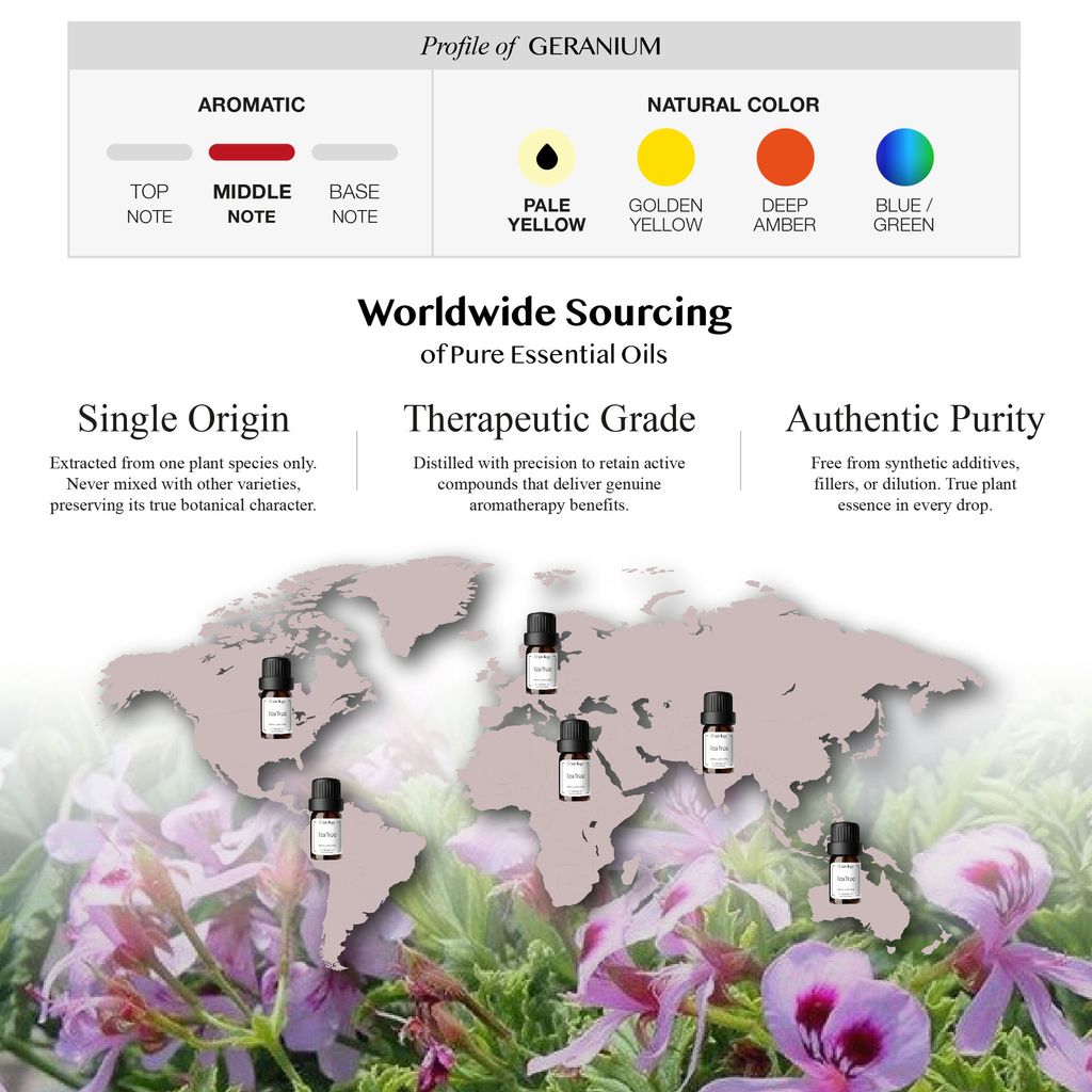 251007 PD - EO Geranium_Artboard 3