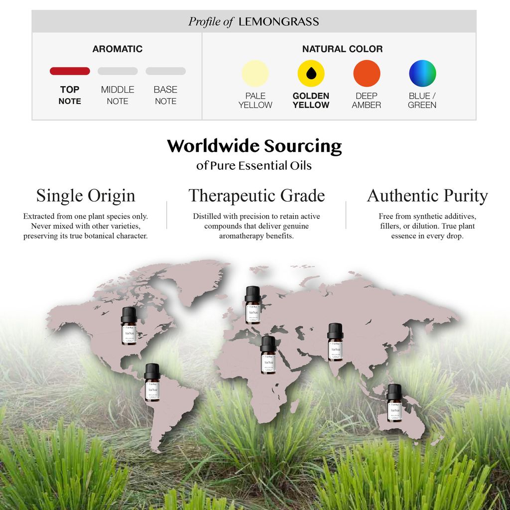 251007 PD - EO Lemongrass_Artboard 3