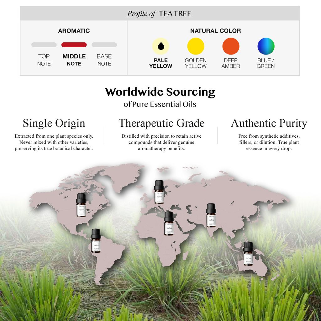 251007 PD - EO Tea Tree_Artboard 3