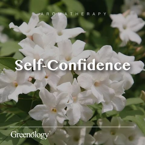 251007 PD - EO Jasmine_Artboard 1