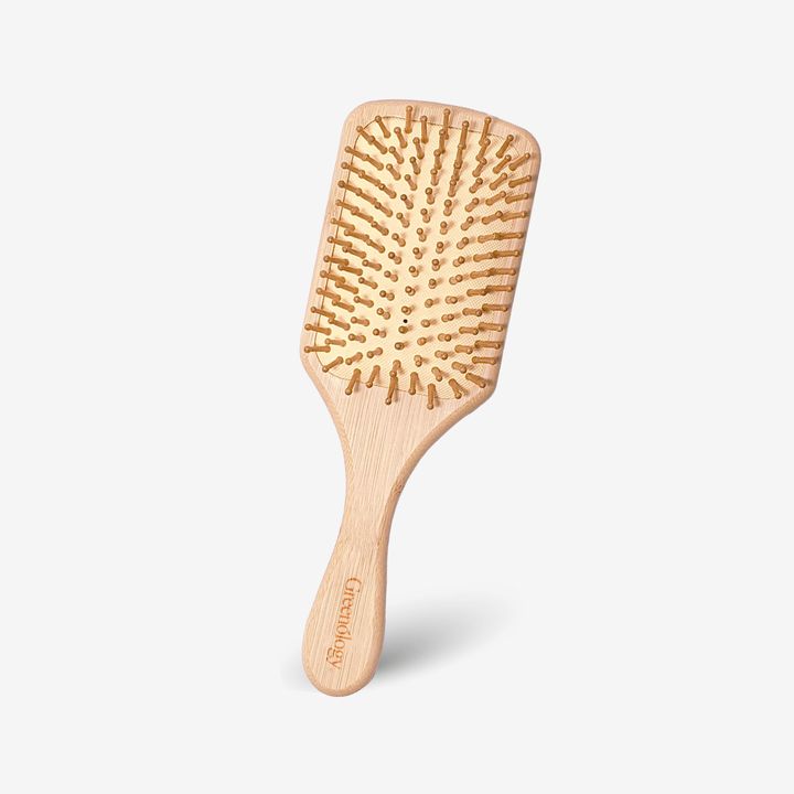 251105 PV_Natural Paddle Brush-01