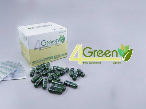 4 GREEN.jpg