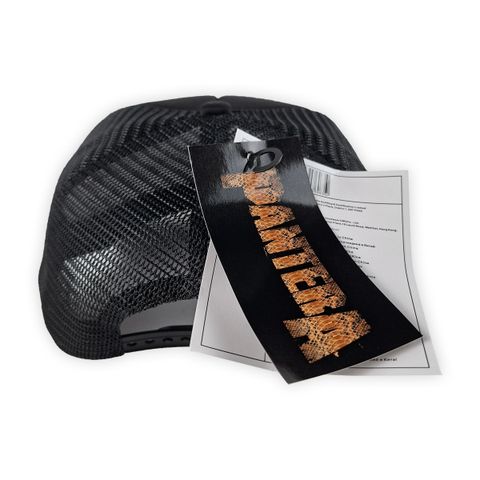 Pantera-Logo Mesh Back Cap (3)
