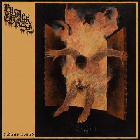 BLACK-CURSE-Endless-Wound-LP