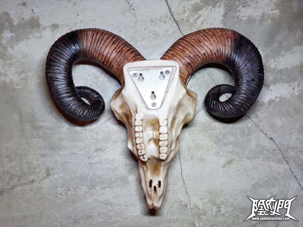 Rams Skull Medium 33cm 2.jpg